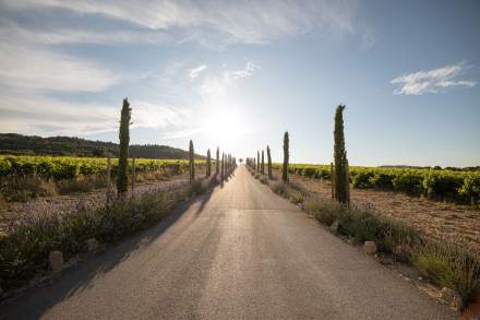 Destino Provenza · Villa La Coste en Aix-en-Provence