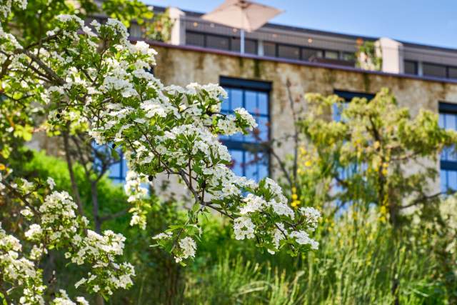 Villa La Coste, Hôtel Restaurants Spa en Provence